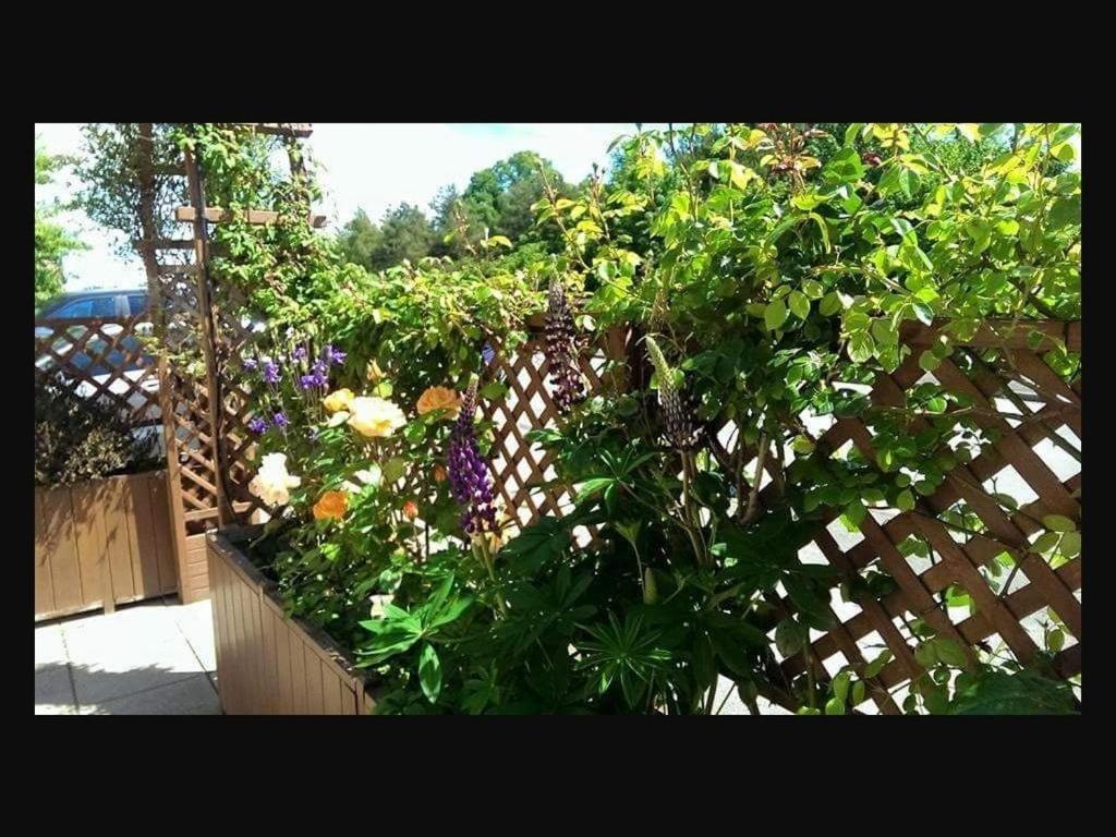 The Old Bell Bed & Breakfast Shrewsbury Eksteriør bilde